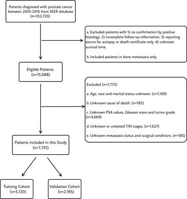 Nomograms predict survival benefits of radical prostatectomy and chemotherapy for prostate cancer with bone metastases: A SEER‐based study